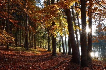 The Ultimate Fall Home Maintenance Checklist: Preparing Your Home for Winter - XYZHOMESERVICES.com