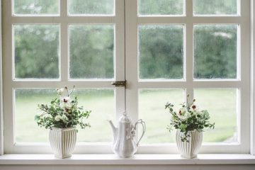 Stop Throwing Money Out the Window: Essential Steps to Seal Your Home for Winter - XYZHOMESERVICES.com
