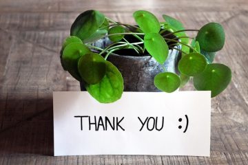 Finding Comfort in Gratitude XYZ Home Services Colorado