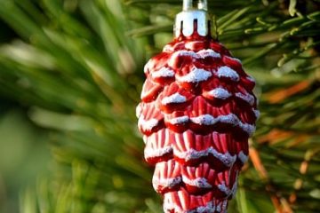 Home for the Holidays: Warm Wishes from XYZ Home Services